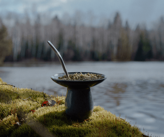 Mate brasilianisch zubereiten.