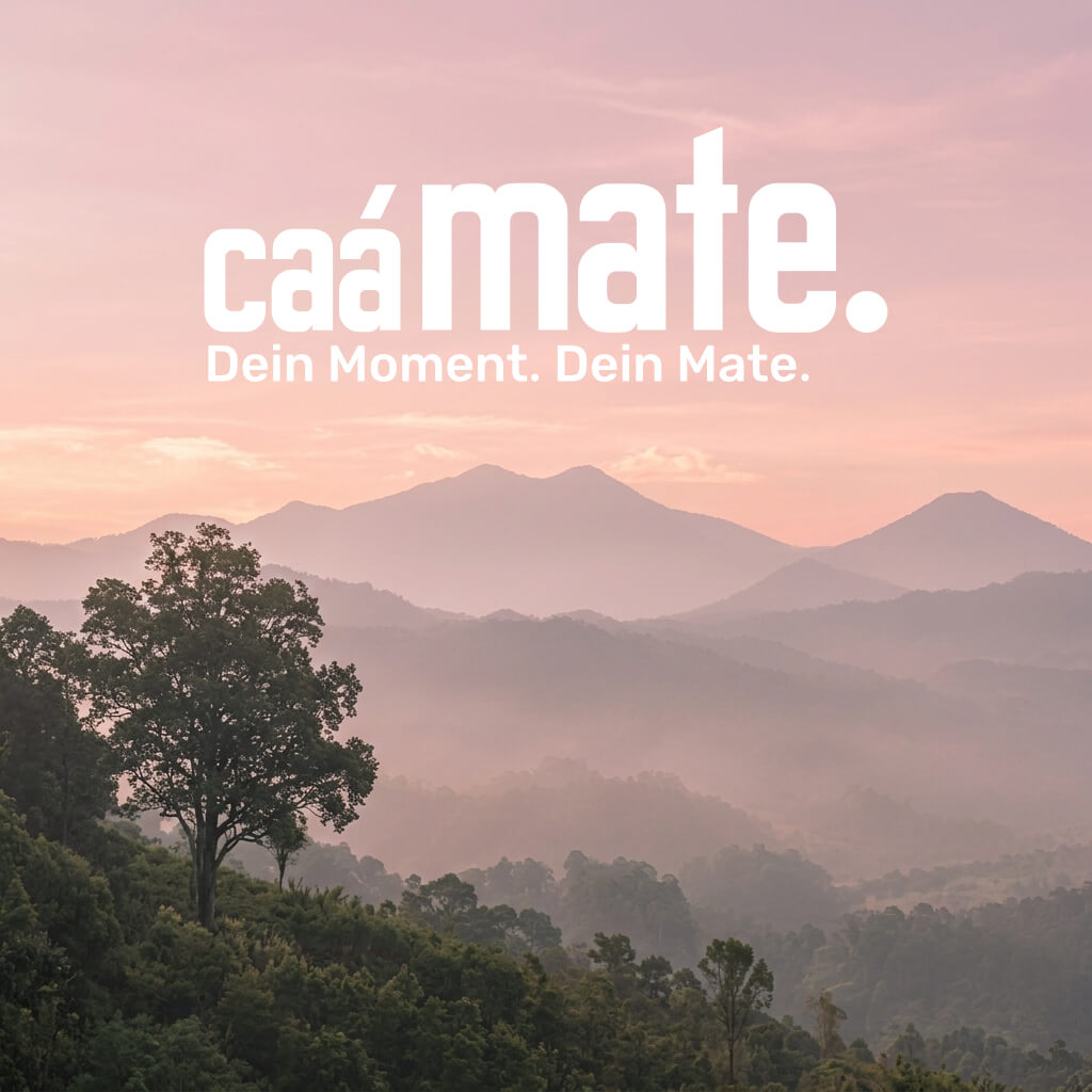 Bewaldete Berge im Nebel unter einem rosafarbenen Himmel, mit caámate-Logo und dem Slogan „Dein Mate. Dein Moment.“