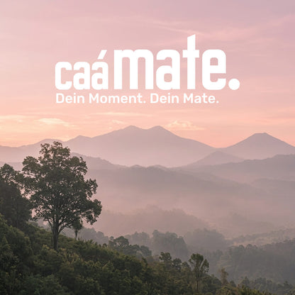 Bewaldete Berge im Nebel unter einem rosafarbenen Himmel, mit caámate-Logo und dem Slogan „Dein Mate. Dein Moment.“